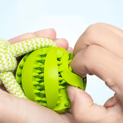 Interactive Dog Toy Set: Chewing Fun, Treat & Dental Care!